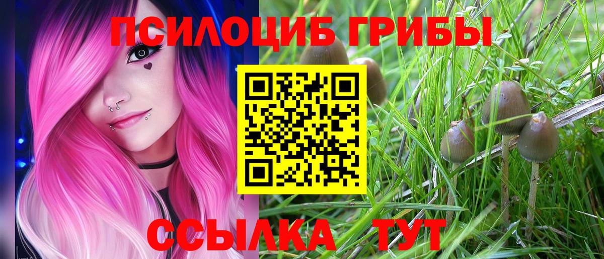Унеча  Галлюциногенные грибы Magic Shrooms  Вход с VPN 